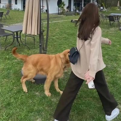 三个绑匪七条心